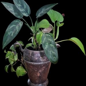 Vintage Academy Silver On Copper Pitcher